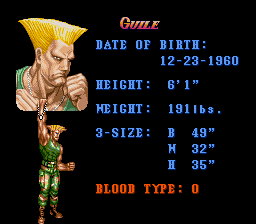 SNES--Super Street Fighter II  The New Challengers_Aug7 3_59_52.png
