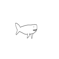 Shark Baity