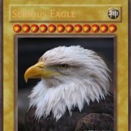Serious_Eagle
